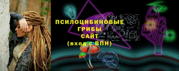 СК Пролетарск