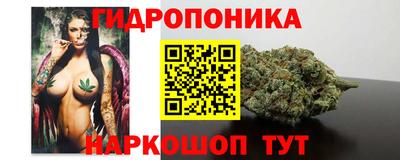 винт Бердск